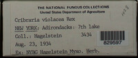 Image Associated With the Occurence